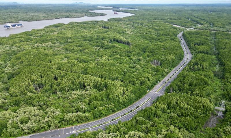 Hình ảnh du khách tham quan rừng ngập mặn Cần Giờ