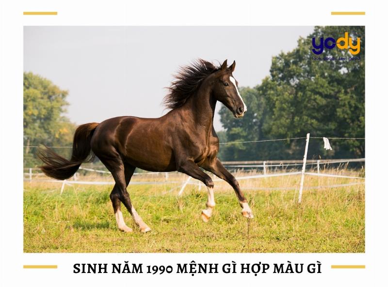 Canh Ngọ 1990 Mệnh Gì, hình ảnh con đường đất ven đường tượng trưng cho Lộ Bàng Thổ