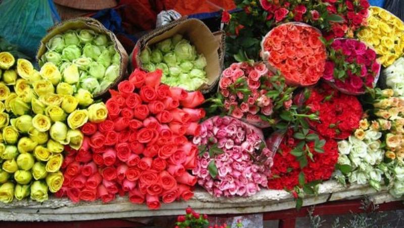 Cách chọn cành hoa cúc tươi tắn để cắm bàn thờ lâu tàn
