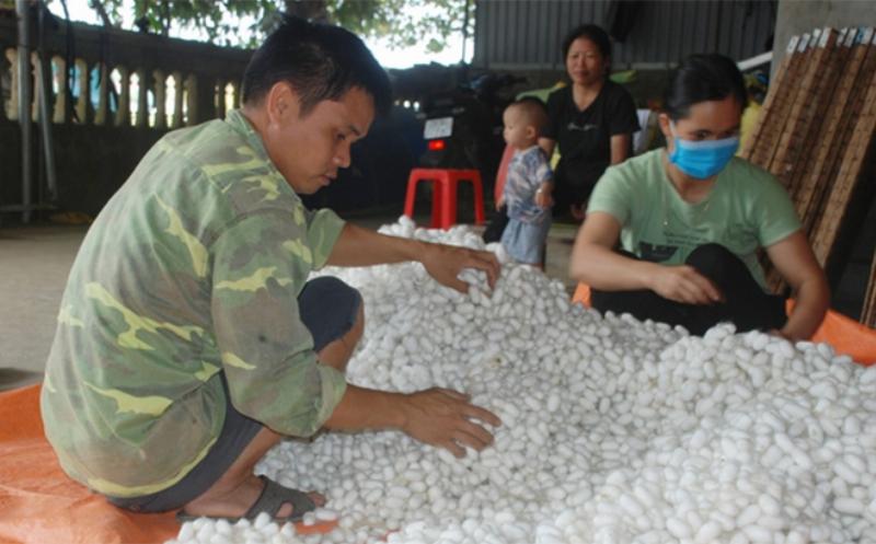 1 hecta bằng bao nhiêu km2: Giải mã đơn vị đo diện tích quen thuộc, ứng dụng thực tế, và những điều có thể bạn chưa biết, tầm quan trọng trong quy hoạch dự án, đầu tư bất động sản