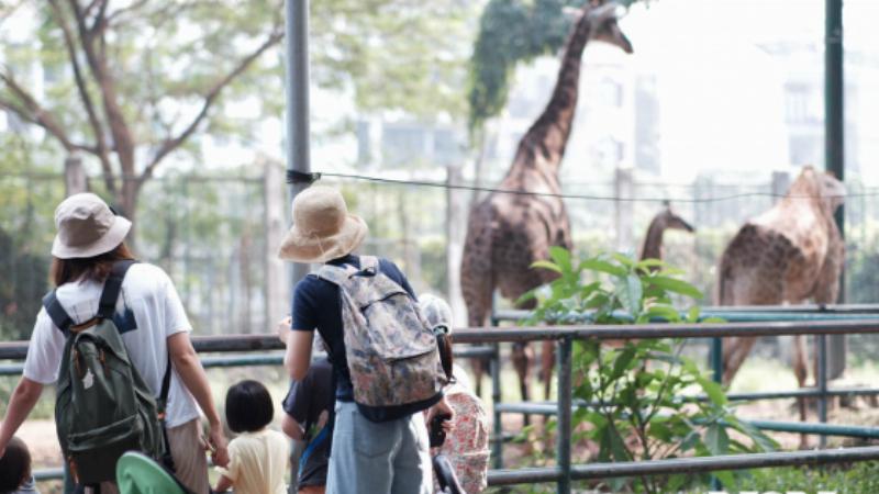 Hình ảnh thể hiện sự đối lập giữa hành lang cũ của Chung cư Tôn Thất Đạm và nội thất hiện đại/độc đáo bên trong một cửa hàng/quán