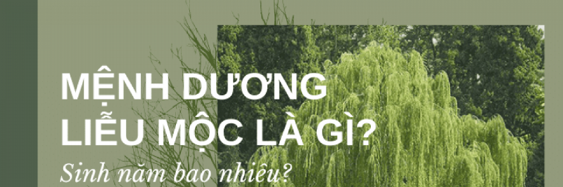Sinh năm 2002 mệnh gì, tuổi con gì, hợp màu, hợp số, hợp hướng nào?