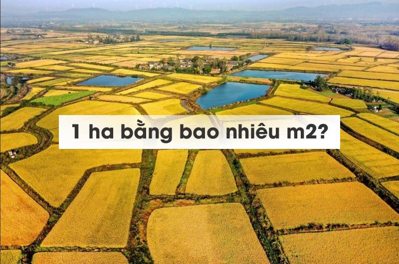 1 hecta bằng bao nhiêu mét vuông, cách tính, ứng dụng trong đời sống và đầu tư