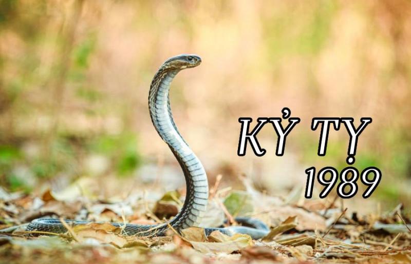 Minh họa sự hòa hợp trong hôn nhân giữa người tuổi Kỷ Tỵ 1989 và các tuổi hợp kết hôn