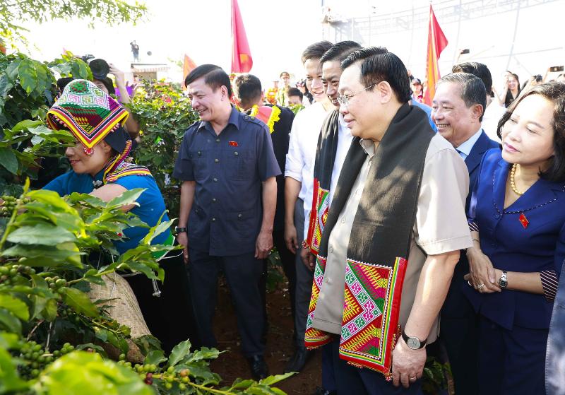 Cong ty Khang Thinh Mien Trung dong hanh cung gia dinh xay dung nha vuon cap 4 nong thon mo uoc