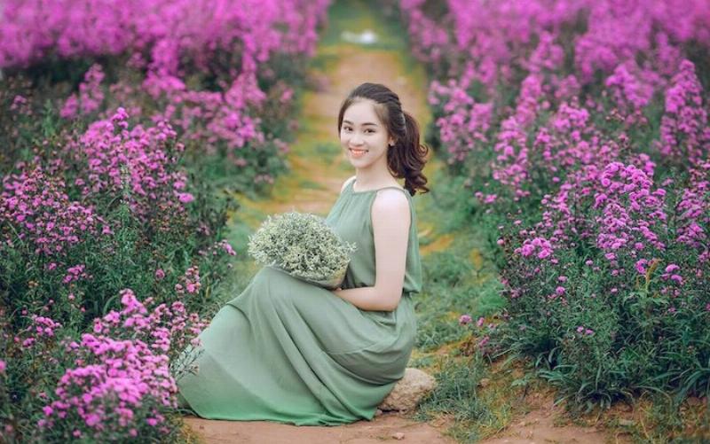 Làng nghề trồng hoa cúc phục vụ việc thờ cúng và trang trí