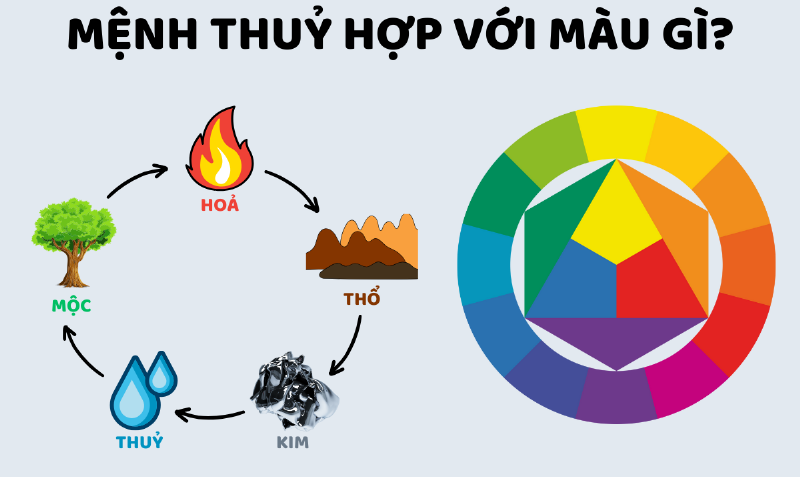 Xe ô tô màu trắng, bạc, xám hoặc vàng, nâu đất