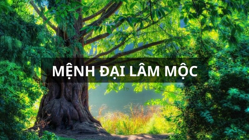 Ý nghĩa và biểu tượng của Mệnh Đại Lâm Mộc cho người sinh năm 1989