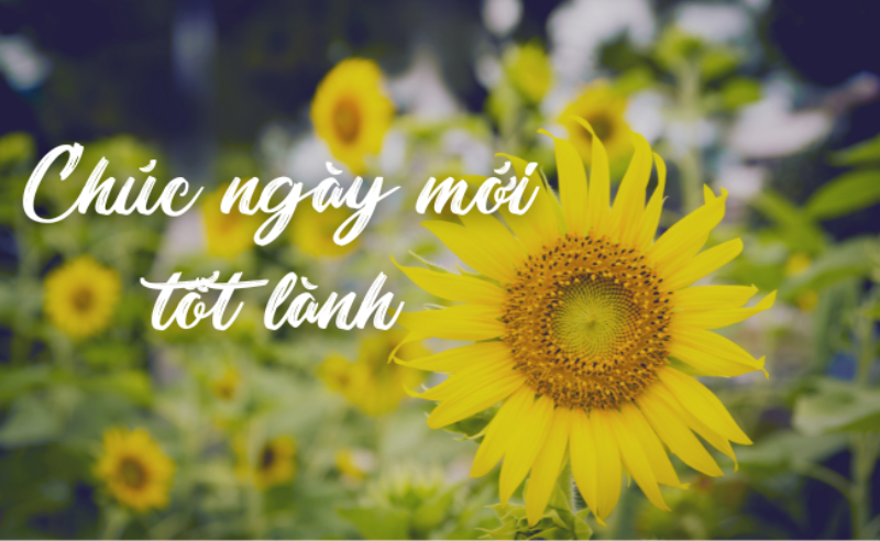 ngân hàng mb gần nhất, Tìm Nhanh, An Tâm Du Lịch, Khám Phá Miền Trung