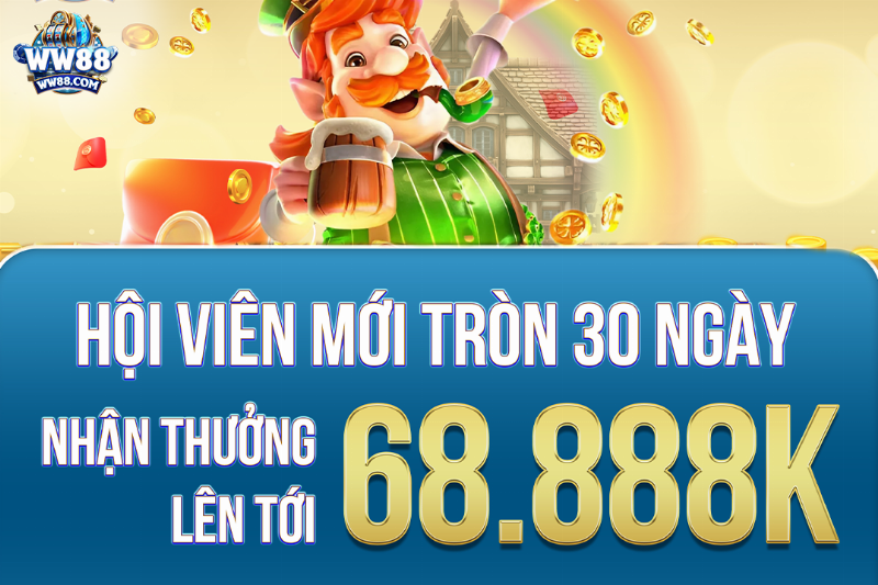 Thuê Nhà Nguyên Căn Bình Tân: Hướng Dẫn Chi Tiết, Kinh Nghiệm Bỏ Túi, Lưu Ý Cần Biết