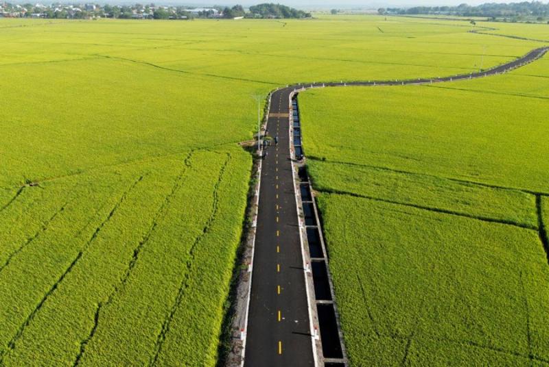 1 sào bằng bao nhiêu m2: Hướng dẫn chi tiết, chuẩn xác và những điều bạn cần biết về diện tích đất
