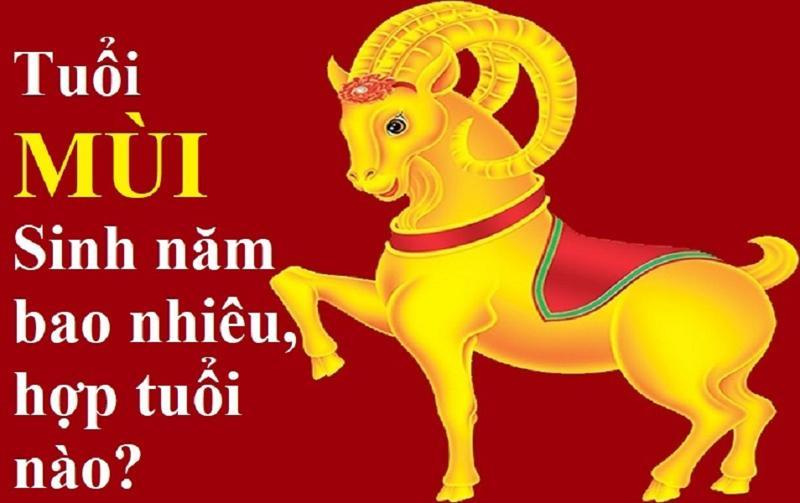 Người tuổi Quý Mùi 2003 hợp tác làm ăn với tuổi Hợi, Mão, Ngọ mang lại sự thịnh vượng