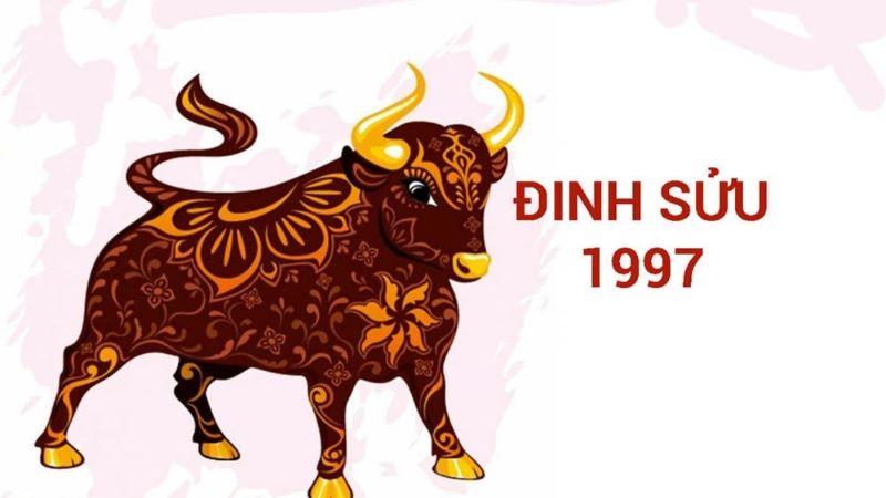 1997 Năm Nay Bao Nhiêu Tuổi? Giải Mã Tuổi, Vận Mệnh & Khám Phá Tuổi 27