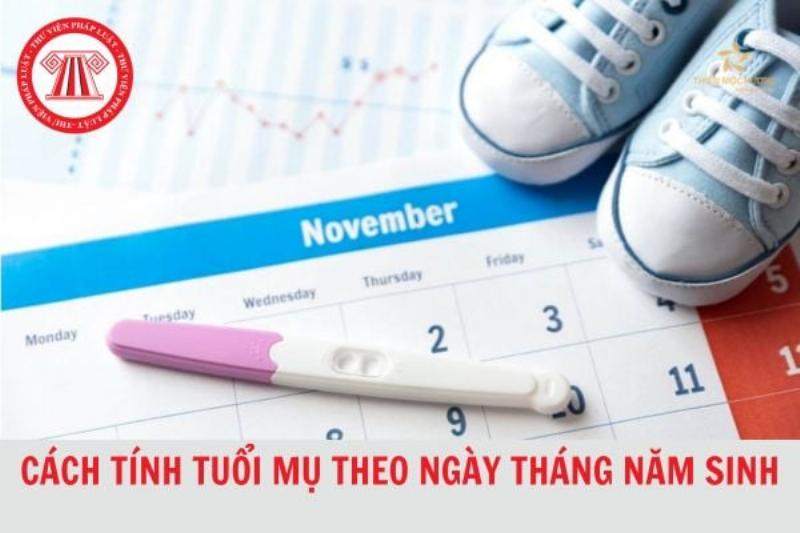 1998 Năm Nay Bao Nhiêu Tuổi? Giải Mã Tuổi Mậu Dần & Gợi Ý Du Lịch
