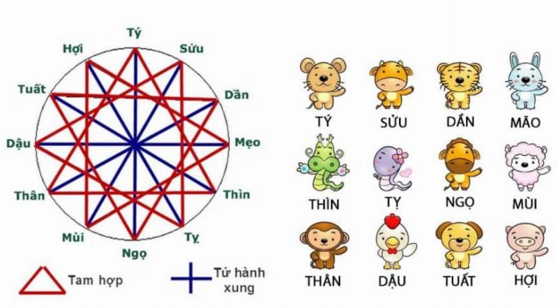 Biểu đồ tương hợp và xung khắc của tuổi Thân với các con giáp khác trong tình yêu và công việc