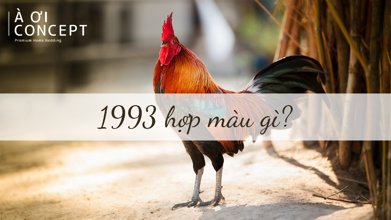 Cach ung dung mau sac hop menh cho nam 1993 trong trang phuc do vat