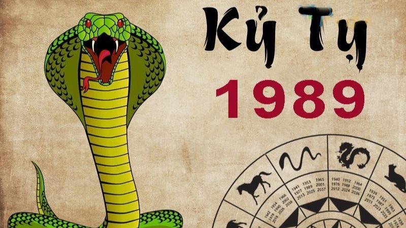 Minh họa các vật phẩm phong thủy may mắn cho người tuổi Kỷ Tỵ 1989: cây cảnh, bể cá, đá phong thủy màu xanh/đen