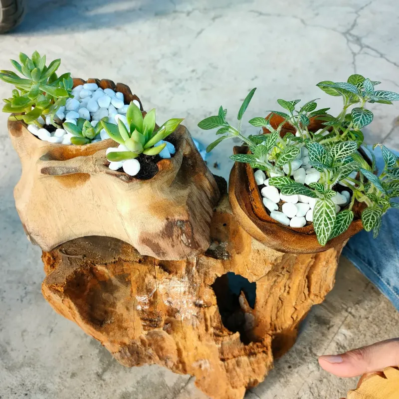 Đá phong thủy và cây cảnh hợp với người mệnh Hoả sinh năm mấy