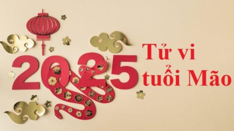 Người tuổi Mão cần chú ý các vấn đề về pháp lý, tài chính, sức khỏe trong năm Tam Tai 2025 Ất Tỵ