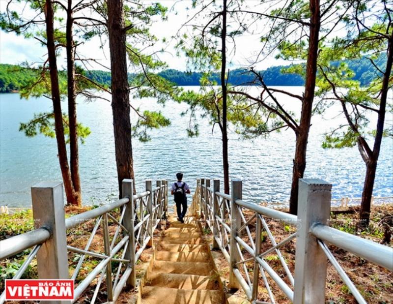 Đồn điền cà phê bạt ngàn trên cao nguyên Tây Nguyên, Việt Nam