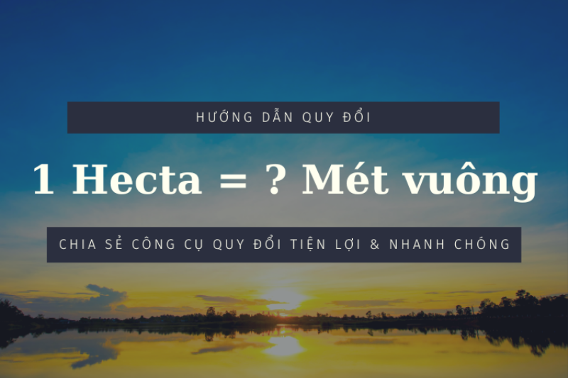 Cánh đồng lúa hoặc khu đất canh tác ở miền Bắc, nơi sử dụng đơn vị sào/mẫu