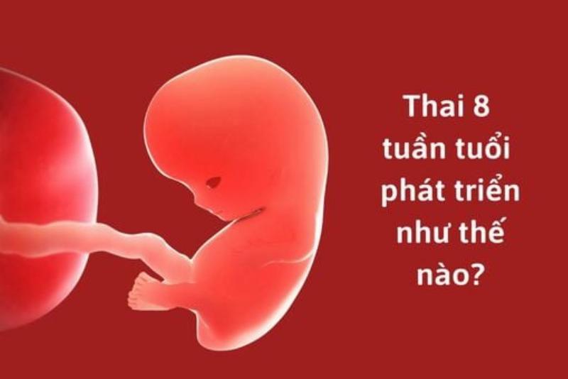Minh họa các câu hỏi thường gặp về chung cư Lê Thành Lê Tấn Bê dưới dạng biểu tượng hỏi đáp