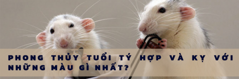 Hình ảnh minh họa người tuổi Tý 1984 chọn màu sắc trang phục du lịch hợp mệnh Kim, với các tông màu vàng, nâu đất, trắng, xám.