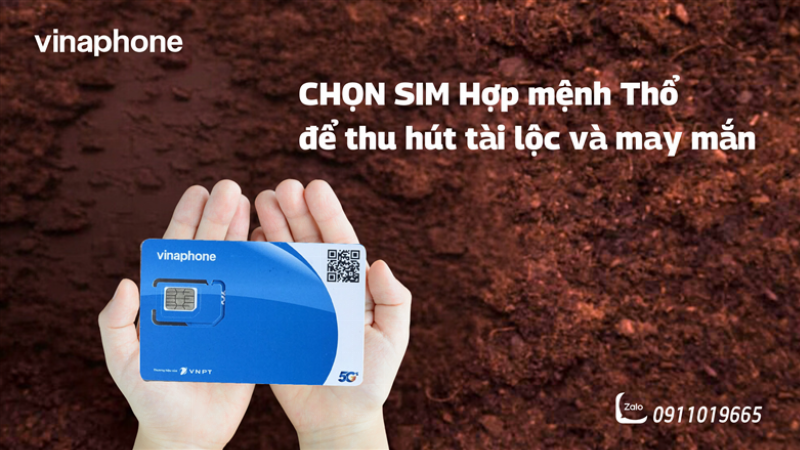Hình ảnh minh họa các con số may mắn cho tuổi Bính Tuất 2006 (2, 5, 8, 9) được đặt trên nền đất hoặc có yếu tố lửa/đất