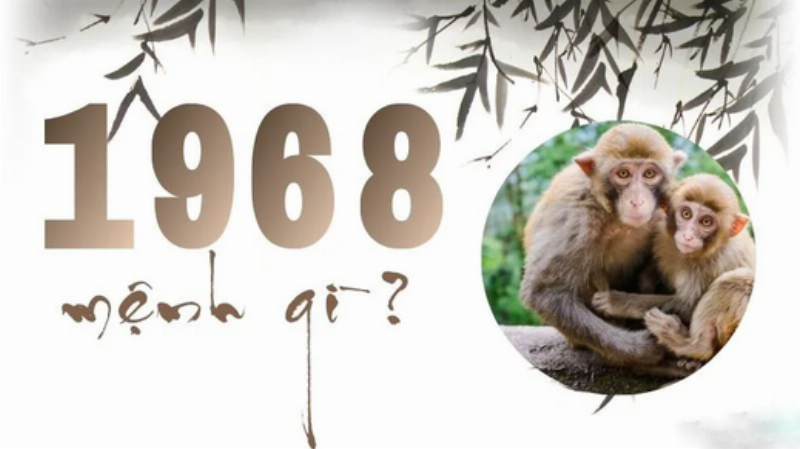 Hình ảnh biểu trưng cho Cung Khôn (Nam 1968) và Cung Tốn (Nữ 1968) trong Bát Quái đồ