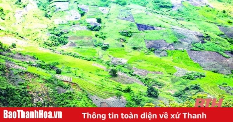 Nương rẫy hoặc đồng ruộng bậc thang ở miền Trung, nơi sử dụng đơn vị công/sào