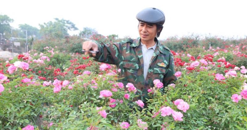 Thời tiết Thanh Lâm, Mê Linh, Hà Nội: Cập nhật chi tiết, dự báo mới nhất, ảnh hưởng đến cuộc sống
