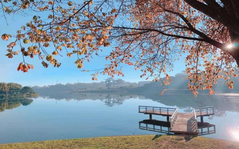 Một gia đình đang vui vẻ picnic trên thảm cỏ xanh mướt tại vườn hoa Lạc Long Quân