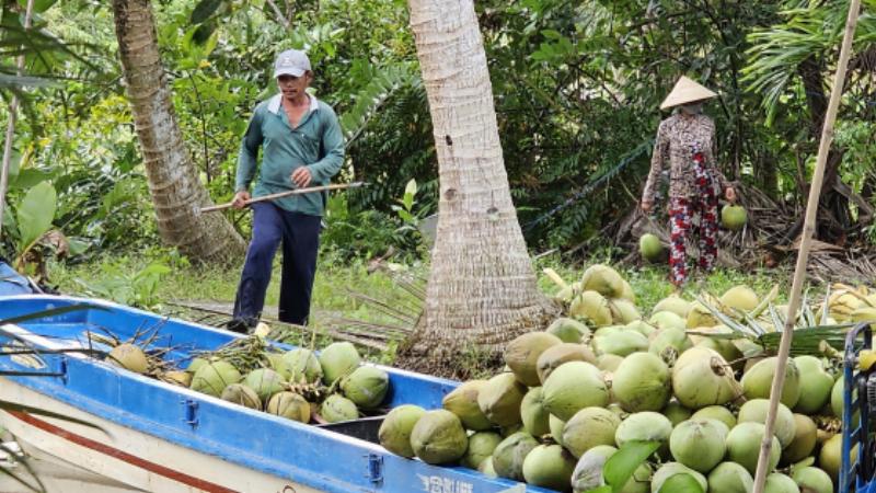 Giao dịch mua bán đất ở Miền Tây, lưu ý đơn vị đo lường