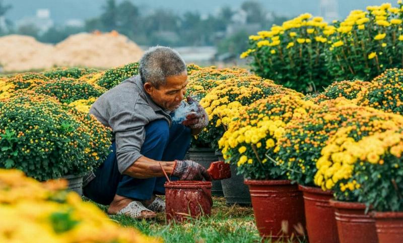 Hình ảnh Nhà thờ Tân Định trong "giờ vàng" buổi chiều với ánh nắng ấm áp