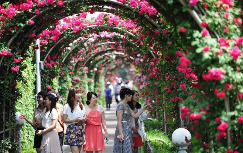 Gia đình vui chơi tại công viên ở Thạch Bàn Long Biên Hà Nội vào ngày đẹp trời