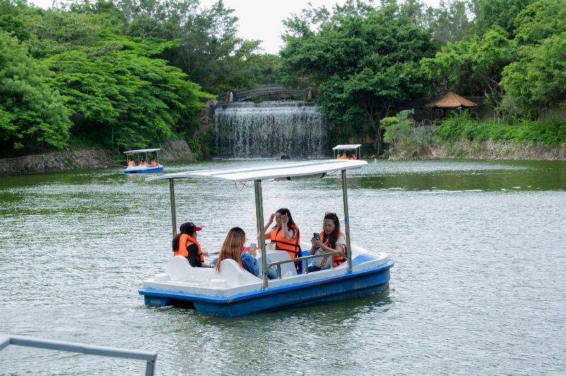 Hình ảnh tổng hợp vẻ đẹp của Bãi Trước Vũng Tàu và các loại hình khách sạn khác nhau, thể hiện sự đa dạng và hấp dẫn của khu vực lưu trú này.