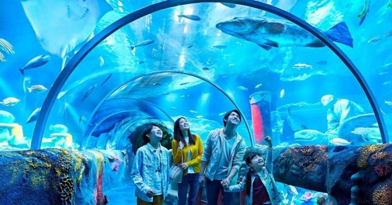 Hình ảnh khu vui chơi trẻ em sôi động tại Vincom Plaza Bắc Từ Liêm với nhiều trò chơi và các em bé đang vui đùa