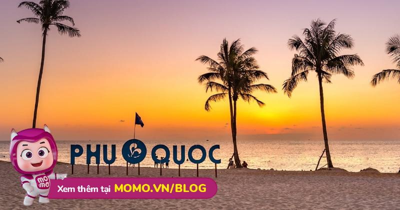 Chia sẻ kinh nghiệm và mẹo để đặt phòng khách sạn Eden Đà Nẵng với giá tốt nhất và nhận ưu đãi