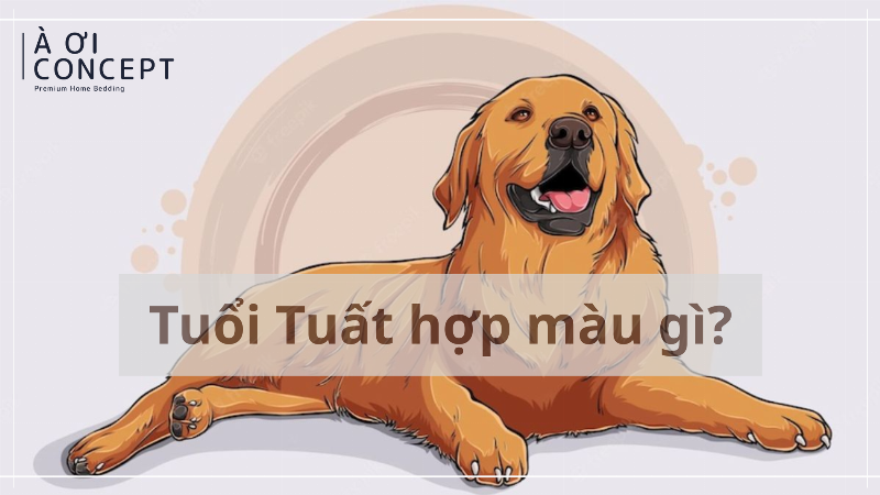 Màu bản mệnh vàng đất, nâu giúp người mệnh Thổ 2006 tăng cường sự ổn định, vững chắc