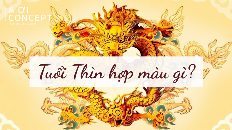 Hình ảnh vật phẩm hoặc không gian có tông màu nâu đất, biểu tượng cho sự ổn định và bền vững, phù hợp với người mệnh Kim