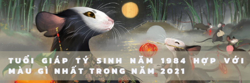 Bảng màu sắc hợp và kỵ với người mệnh Kim 1984