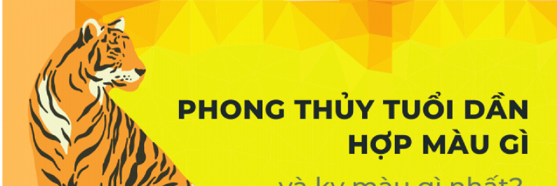 Bộ sưu tập màu sắc hợp tuổi Canh Dần 2010 theo phong thủy gồm xanh lá, đen và xanh dương