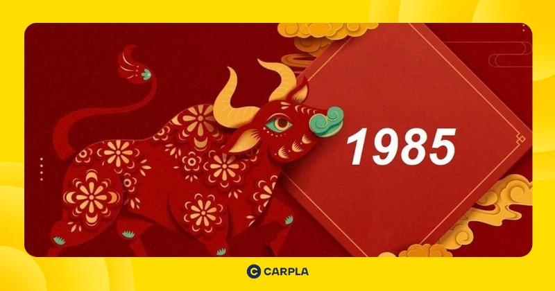 Bảng màu sắc và các hướng phong thủy tốt/xấu cho người tuổi Ất Sửu 1985