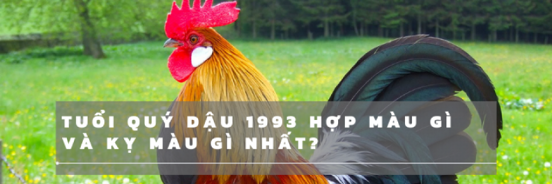 Chọn màu sắc hợp phong thủy mang lại may mắn cho 1993