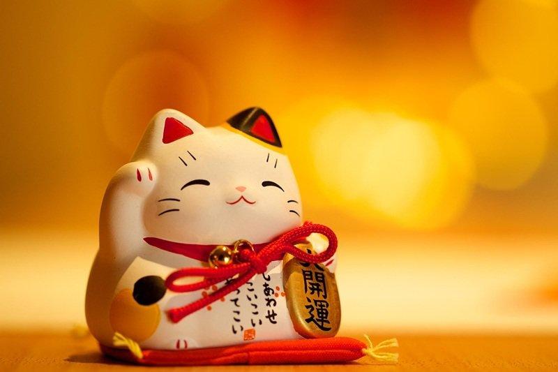Màu xe đen xanh dương kỵ mệnh Hỏa theo phong thủy, tiềm ẩn rủi ro không may