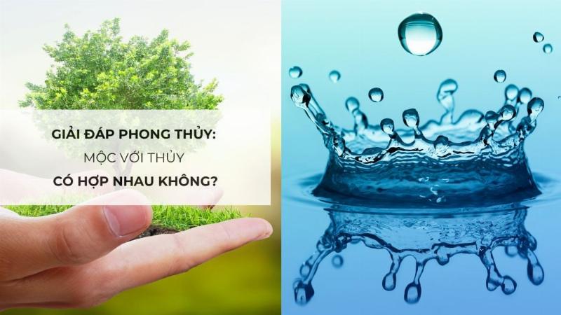 Mệnh Mộc Hợp Màu Đỏ Không, Giải Đáp Chi Tiết Theo Quy Luật Ngũ Hành Phong Thủy, Tư Vấn Chọn Màu Sắc Đúng Chuẩn