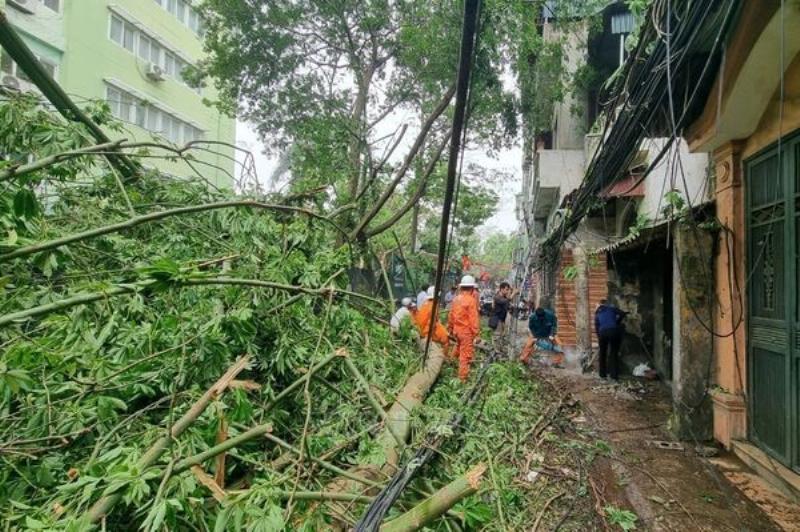 Cơn mưa rào mùa hè ở khu vực Thạch Bàn Long Biên Hà Nội