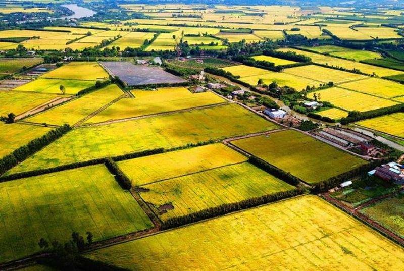 1ha bằng bao nhiêu km2, cách đổi héc ta sang ki lô mét vuông nhanh chóng