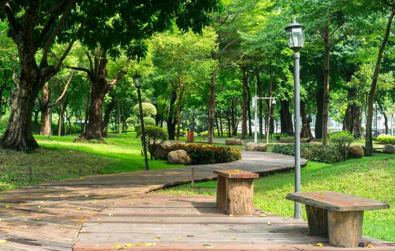Người dân tập thể dục buổi sáng tại vườn hoa Lạc Long Quân, với nhiều hoạt động đa dạng