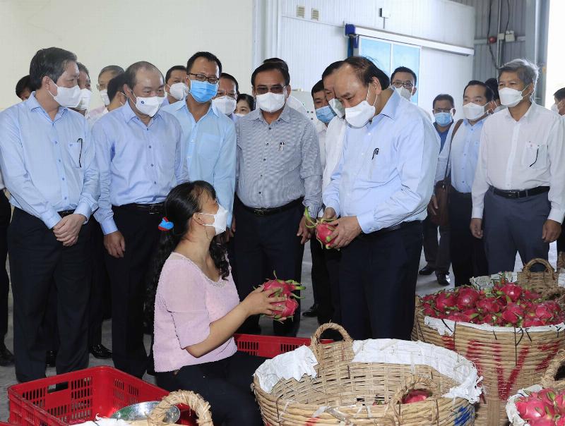 1 Công Bao Nhiêu M2: Giải Mã Đơn Vị Đo Diện Tích Đất Phổ Biến Ở Việt Nam, Quy Đổi Chi Tiết Theo Từng Vùng Miền và Cách Tính Nhanh Gọn